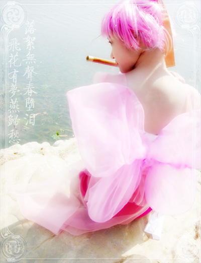 王蓬絮
